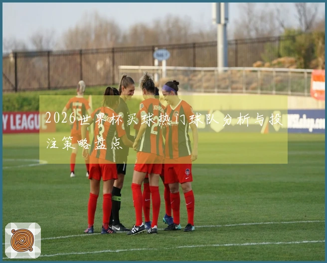 2026世界杯买球热门球队分析与投注策略盘点