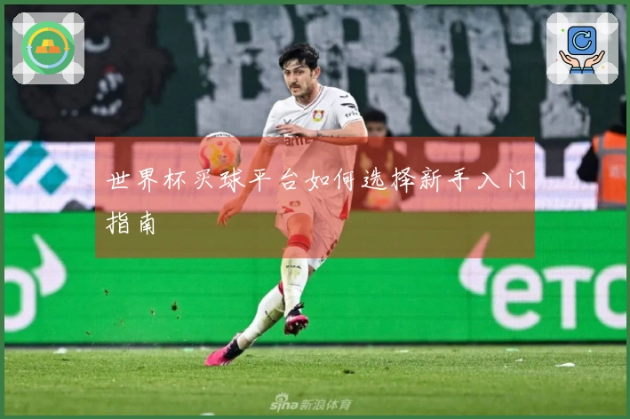 世界杯买球平台如何选择新手入门指南