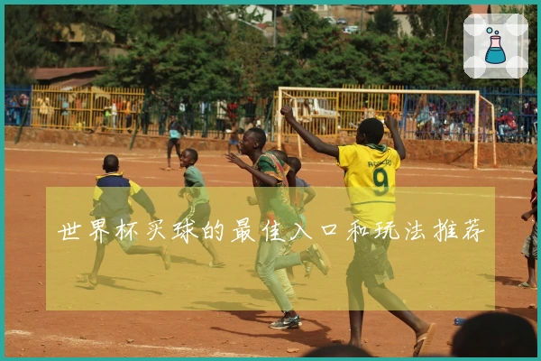 世界杯买球的最佳入口和玩法推荐