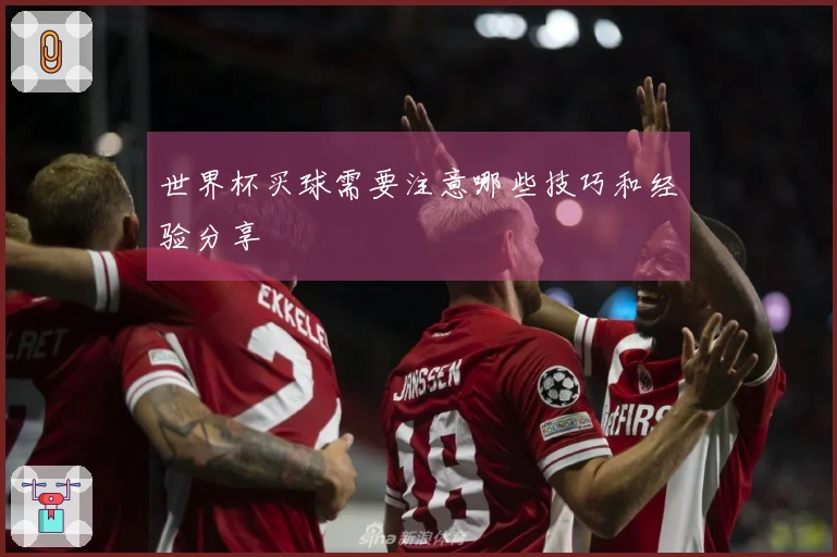 世界杯买球需要注意哪些技巧和经验分享