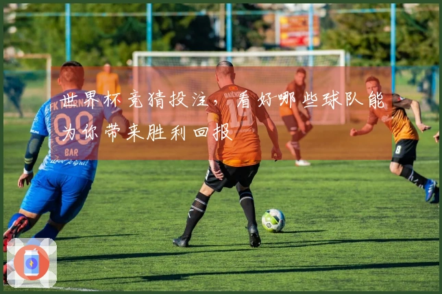 世界杯竞猜投注，看好哪些球队能为你带来胜利回报